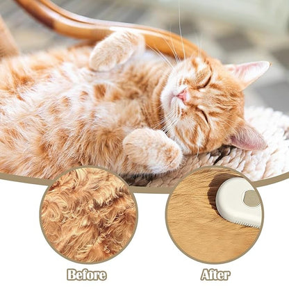 Cat Steam Brush - 5 In1 Grooming Kit for Cats and Dogs Silicone Massage Tool - Stainless Steel Nail Scissors - Hair Detangling Comb - Water Spray Rechargeable Shedding Wash-Free Essence (White)