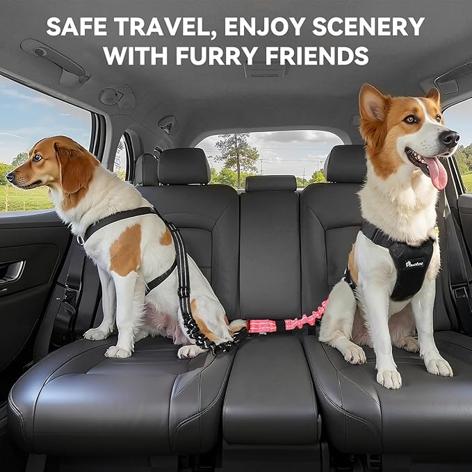 Pawaboo 2Pack Dog Seatbelt for Car, 3-in-1 Dog Car Seat Belt Bungee, Shockproof Dog Tether for Car with Buckle &amp; Hook Latch, Adjustable Reflective Dog Harness Leash with 360° Lockable Buckle, Pink