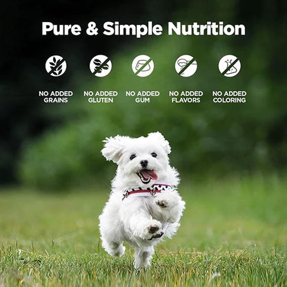 ZEAL New Zealand Canned Wet Dog Food – High Protein, Pure Nutrition, Grain-Free with Superfoods (Chicken, 6oz Can, 12-Pack Tray)
