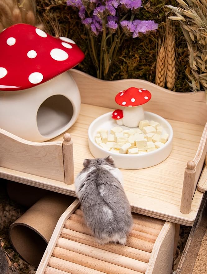 Niteangel Hamster Snack &amp; Treats Toy - Small Animal Natural Treat for Dwarf Syrian Robo Hamsters Gerbils Mice Lemmings Degus or Other Small-Sized Pets