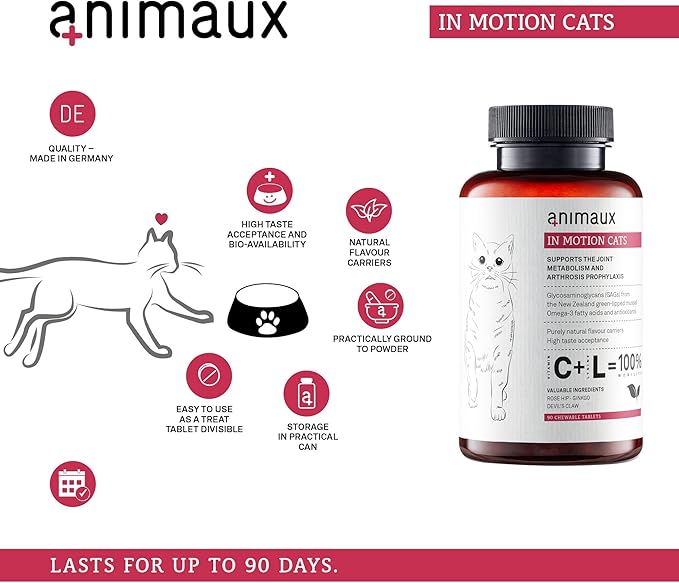 animaux - in Motion Cats, Green-lipped Mussel, Devil&