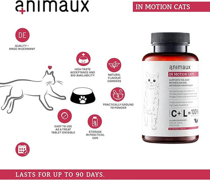 animaux - in Motion Cats, Green-lipped Mussel, Devil&