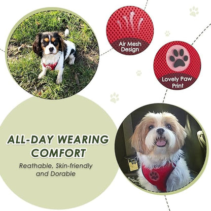 SlowTon Dog Seat Belt Harness for Car, Dog Car Harness Adjustable Mesh Breathable &amp; Dog Seatbelt Safety Tether with Elastic Bungee for Small Medium Large Pets(Red, Double Clip, M)