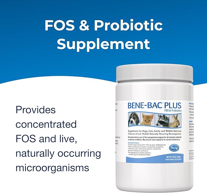 PetAg Bene-Bac Plus - 1 lb Powder - FOS &amp; Probiotics for Dogs, Cats, Exotic &amp; Wildlife Mammals