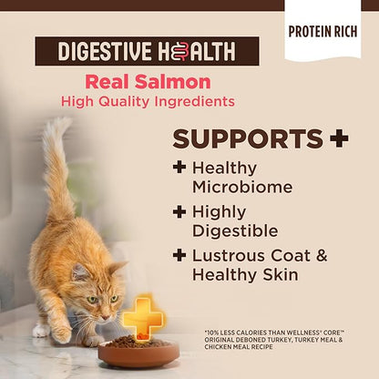 Wellness CORE+ Adult Dry Cat Food for Indoor and Outdoor Cats, Wholesome Grains, Natural, Digestive Health Salmon &amp; Rice (5 Pound Bag)