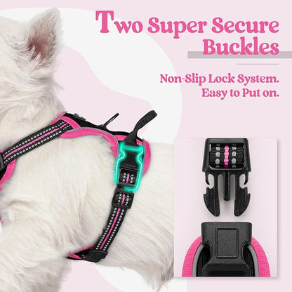 rabbitgoo Dog Harness No Pull with 2 Leash Clips, Adjustable Soft Padded, Reflective Oxford No Choke Pet Vest with Easy Control Handle for Large Dogs, Black &amp; Hot Pink, XS