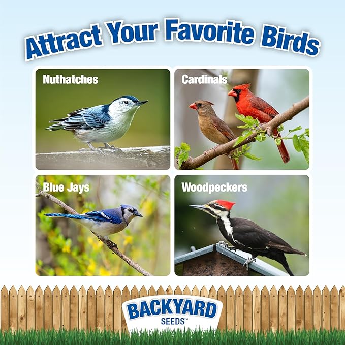 CountryMax Backyard Seeds Shelled Whole Peanuts for Woodpeckers, Birds, Squirrels &amp; Wildlife – Premium Wild Animal Food, 10 lbs Bag