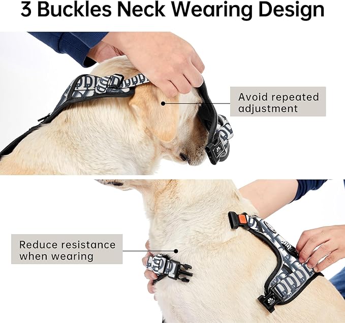 IVY&amp;LANE No Pull Dog Harness with Leash Set, Reflective No Choke Pet Vest,Adjustable Oxford Dog Vest Harness with Easy Control Handle for Small Dogs (Vintage Blue,S)