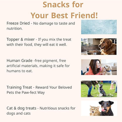 Puppyluv Treat - Air Dried Pollock Dog &amp; Cat Treats, Wild Caught, Single Ingredient, Natural High Protein &amp; Fish Oil, Grain Free, Gluten Free, 2.5oz