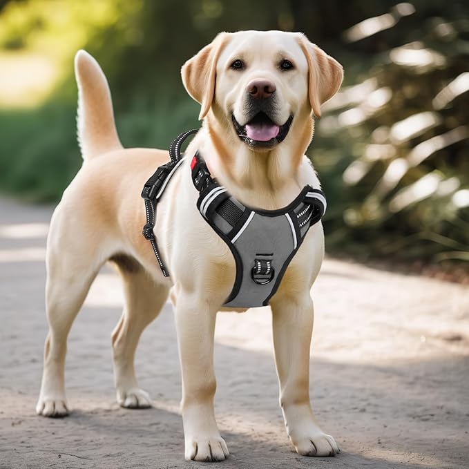 Timos Dog Harness Large Sized, No Pull with Neck Lockable Snap,No Choke Front Clip Dog Reflective Harness,Adjustable Metal Rings 3 Buckles,Easy Control Handle for Large Dogs Gray L