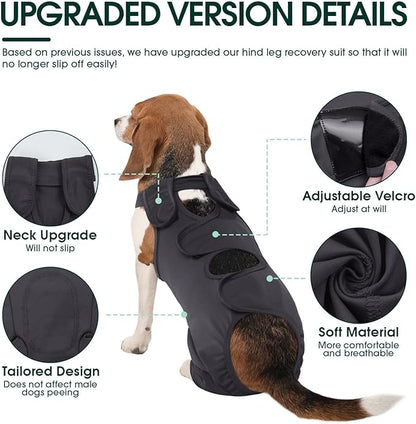 Kuoser Dog Surgery Recovery Suit - Thigh Wound Protective Sleeve for Female &amp; Male Dogs, Pet Surgical Onesie for Spay/Neuter, Gray XXL