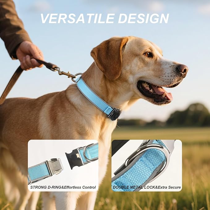 Waterproof Airtag Dog Collar - Nylon Collar with Durable Airtag Holder, Reflective&amp;Anti-Lost with Safety Metal Buckle, Soft Padded Adjustable for Small Medium Large Dogs Blue XL