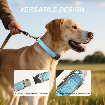 Waterproof Airtag Dog Collar - Nylon Collar with Durable Airtag Holder, Reflective&amp;Anti-Lost with Safety Metal Buckle, Soft Padded Adjustable for Small Medium Large Dogs Blue M