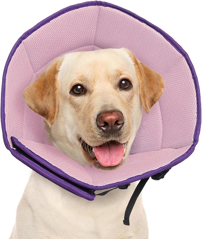 Dog Cone Collar L, Soft Cones for Large Medium Small Dogs,Adjustable Dog Cone Alternative to Stop Licking, Comfy Elizabethan Collar for After Surgery Wound Healing &amp; Hot Spots Purple