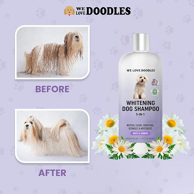 Whitening Dog Shampoo | Made in USA | Brightening Dogs Fur | White &amp; Bright Hair | Removes Stains &amp; Discoloration [We Love Doodles]