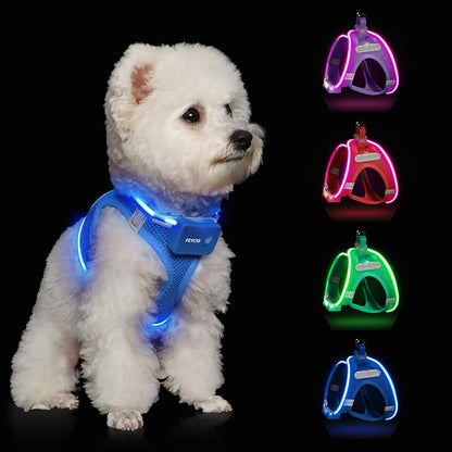 Light Up Dog Harness,Rechargeable LED Dog Harness for Small Medium Large Dogs,Reflective Lighted Safety Vest for Night Walking &amp; Camping,Lightweight &amp; Adjustable,Sky Blue,L