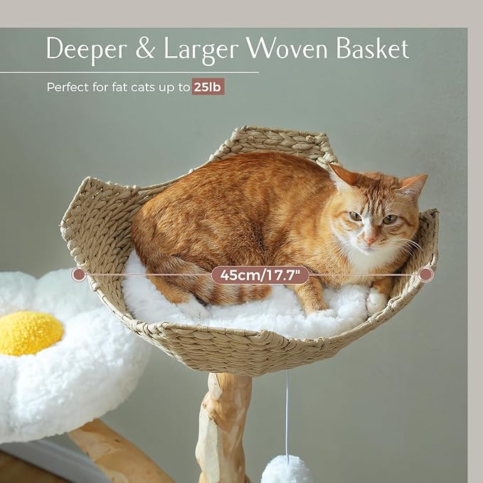 PAWZ Road Cat Tree for Indoor Cats Large Adults, 59 Inches Modern Cat Tower with Large Basket and Hammock, Natural Solid Wood, Luxury Condo &amp; Dual Perches, Modern Cat Furniture for Big Cats, White
