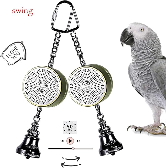 Colorday Bird Toys Parrot Talking Coach &amp; Interactive Voice Bell for Parakeet, African Grey, Amazon Parrots, Quaker, Cockatiel, Conure (Green)