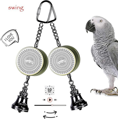 Colorday Bird Toys Parrot Talking Coach &amp; Interactive Voice Bell for Parakeet, African Grey, Amazon Parrots, Quaker, Cockatiel, Conure (Green)