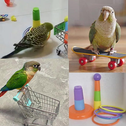 6pcs Interactive Puzzle Toy Set for Small Parrots - Training, Stress Relief, Include Coin Box, Bell Ball, Skateboard &amp; Ferrule Toy for Bird Budgies, Cockatiels, Parakeet etc