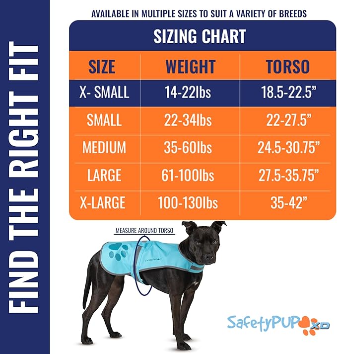 Dog Reflective Vest – Hi-Vis Fluorescent Visibility That Helps to Safeguard Your Pet On/Off Leash in Urban &amp; Rural Areas (Teal, X-Small)