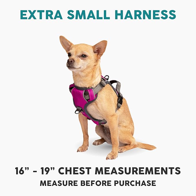 Embark Adventure Dog Harness, No-Pull Reflective Trim Dog Harness for Small, Medium &amp; Large Dogs - Military Grade Nylon, 2 Leash Clips &amp; Gel Lined Handle. Soft &amp; Padded Puppy Dog Vest for Any Breed