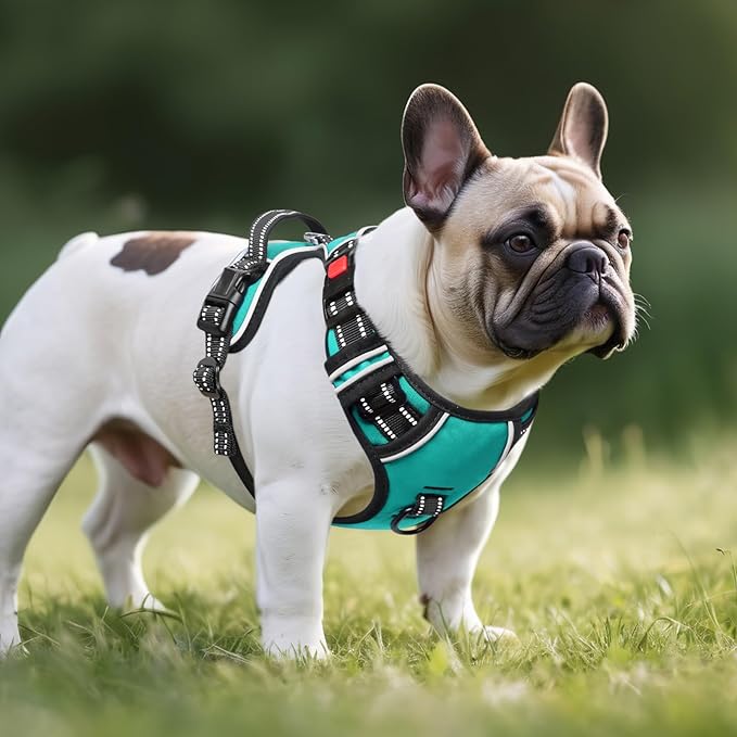 Timos No Pull Dog Harness,NO Need Go Over Dogs Head 3 Snap Buckles Reflective Oxford No Choke Puppy Harness with Front &amp; Back 2 Metal Leash Clips Soft Padded Vest Harnesses for Small Medium Large Dogs
