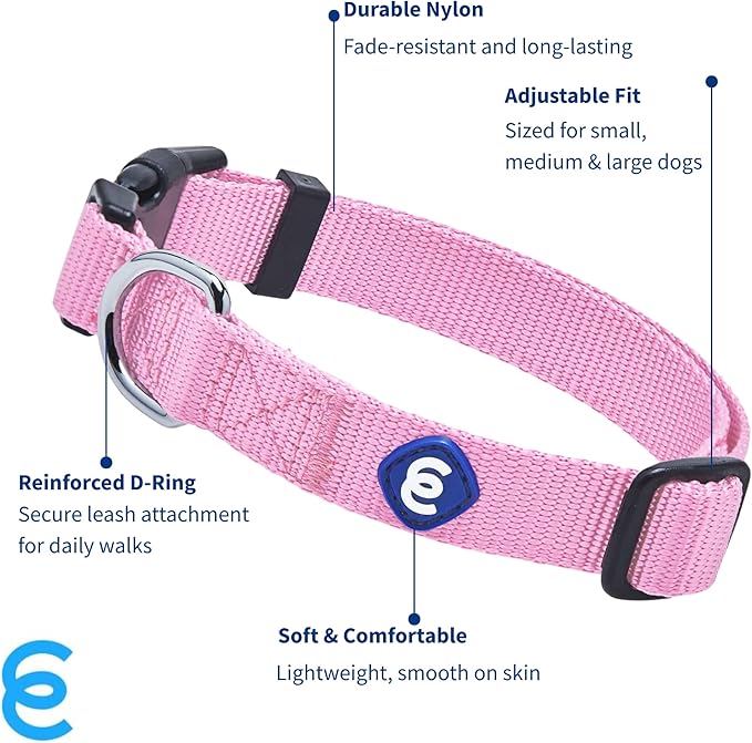Blueberry Pet Essentials Small Dog Collar in Fuchsia Pink | Adjustable &amp; Eco-Friendly Durable Nylon Strap | Classic Collar for Small Dogs, Boy &amp; Girl Pets