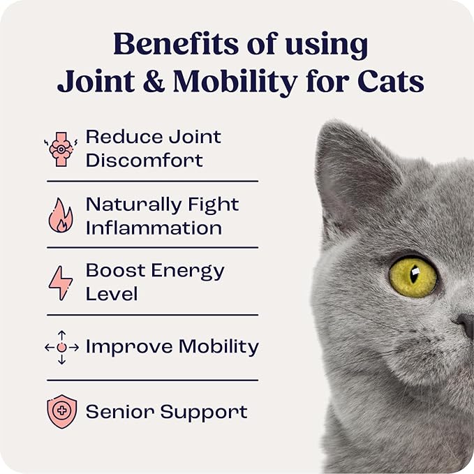 Summit Feline Pain Relief Supplement Inflammation Hip &amp; Joint Support Vitamin for Cats - Natural Chrondroitin with Liposomal Delivery for Arthritis - Drug Free - All Ages