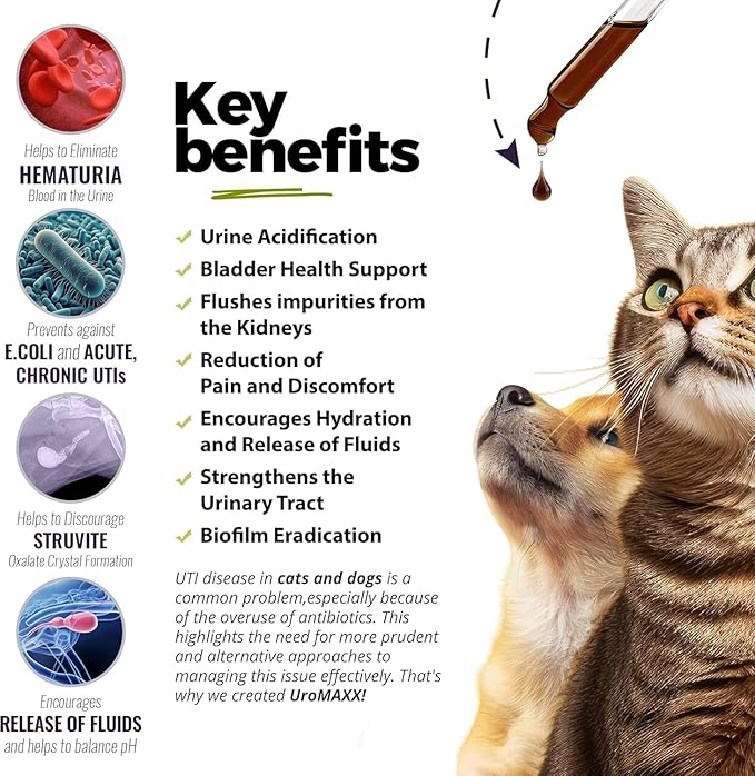 Cat &amp; Dog Urinary Tract Treatment, Bladder &amp; Kidney Support for Dogs and Cats, Powerful Yet Gentle Pet Care, with Liquid Cranberry &amp; Glucosamine, Salmon Flavor, 6 oz Bottle, 1 Pack