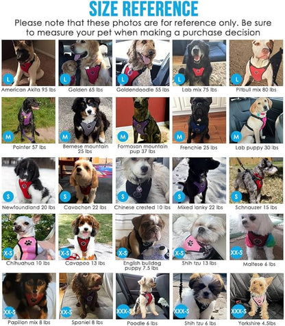 Lukovee Dog Seat Belt for Car, Adjustable Dog Car Harness for Large Medium Small Dogs, Soft Padded &amp; Breathable Mesh Dog Seatbelt with Car Strap and Carabiner(Light Blue Double Clip,Small)