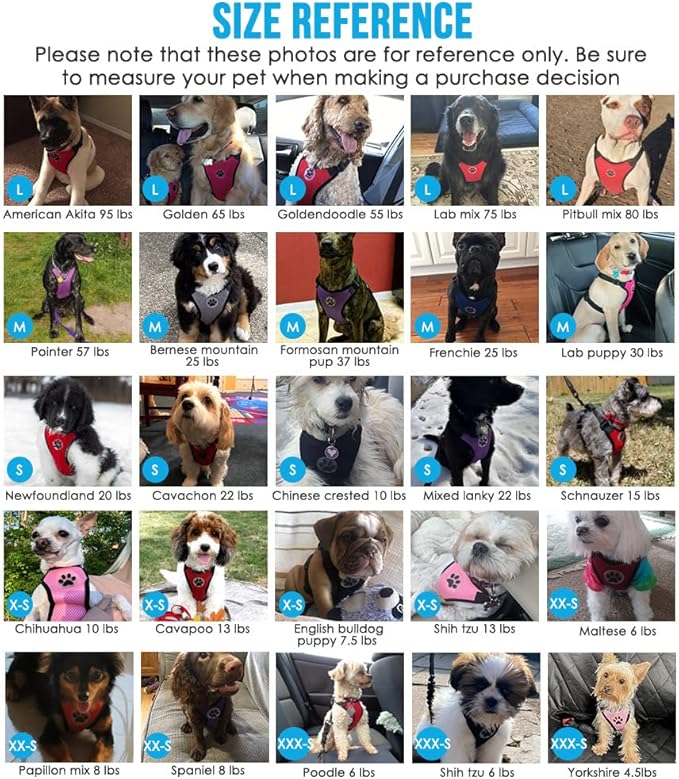 SlowTon Dog Seat Belt Harness for Car, Dog Car Harness Adjustable Mesh Breathable &amp; Dog Seatbelt Safety Tether with Elastic Bungee for Small Medium Large Pets(Camouflage, Double Clip, S)
