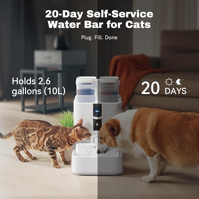 Daily Fresh Cat Water Fountain 10L/338oz Self Filling and Cleaning, Pet Water Dispenser with Filter System for Dogs, 5G Wi-Fi Smart Bowl Wastewater Separation &amp; No Slimy with Quiet Pumps