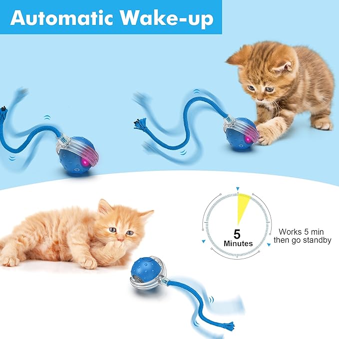 Cat Toys Ball for Indoor Cats - Interactive Automatic Cat Ball Toy | Fast Rolling &amp; Motion Activated Chirping | Hide and Seek Mouse Catching Game | Stimulates Hunting Instinct (Blue)