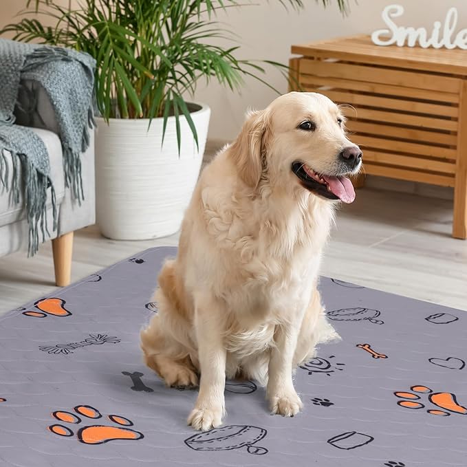 Washable Waterproof Pee Pads for Dogs - 2-Pack Small 18x24 Super Absorbent Reusable Training Pads, Non-Slip &amp; Ideal for Puppies &amp; Dog Playpen, Crate &amp; Potty