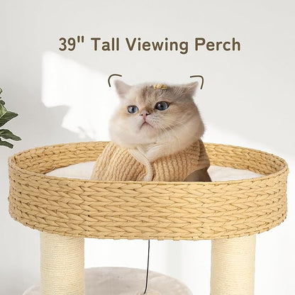KAMABOKO Modern Cat Tree, 39" Tall Cat Trees for Kittens Climb Play &amp; Rest, Cat-Tree for Indoor Cats w/Natural Sisal Scratching Posts, Hand-Woven Condo &amp; Top Perch
