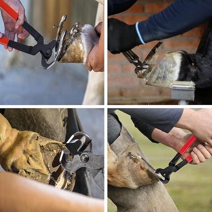1112 Temp 11pcs Farrier Tools Farrier kit Horse shoeing Tools Farrier Supplies Farrier Tools for Horses Cattle Sheep and Donkeys