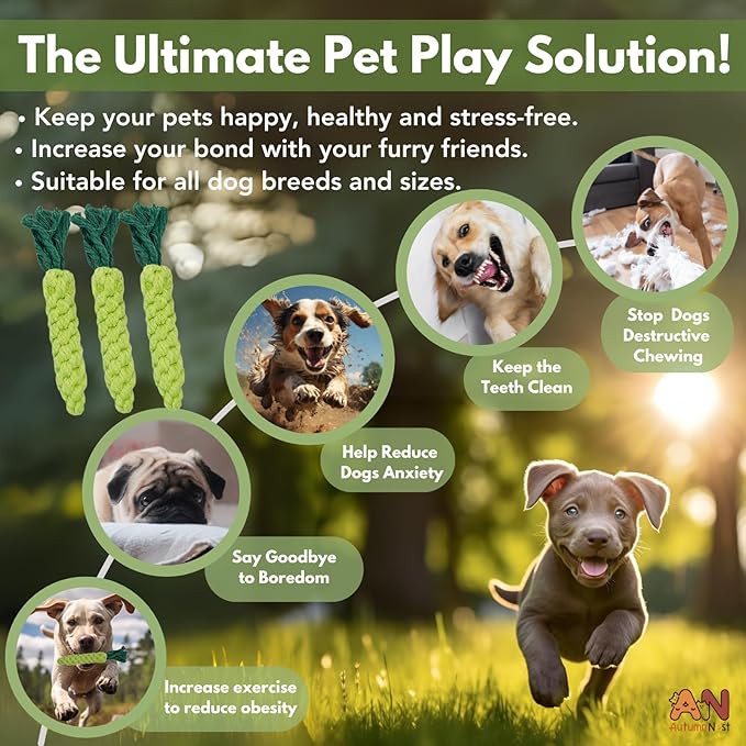3PCS Green Woven Pet Chew Set, Dog Chew Accessories, Cat Interactive Chews, Safe &amp; Durable Braided Chews for Dogs, Cats &amp; More Pets