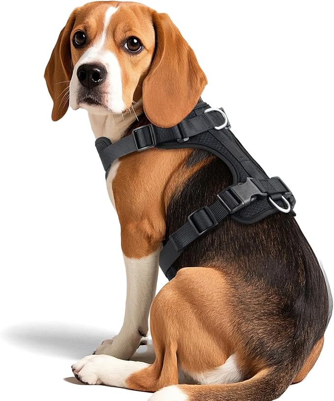 Wisedog Mesh Breathable Dog Harness: No Pull Harness with 3 Fast-Release Buckles Adjustable for Walking &amp; Training for Small Medium Large Dogs (Black, L: Neck=20"-25"/Chest=17"-33")