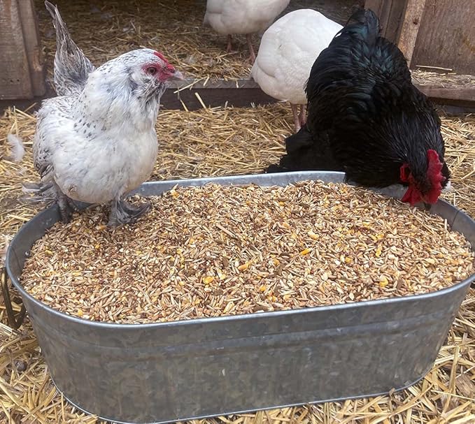 Pampered Chicken Mama Backyard Feed - Premium Scratch Treat - High Protein &amp; Calcium All-Natural Grower Feed Supplies for Laying Chickens (2.5 Pounds)