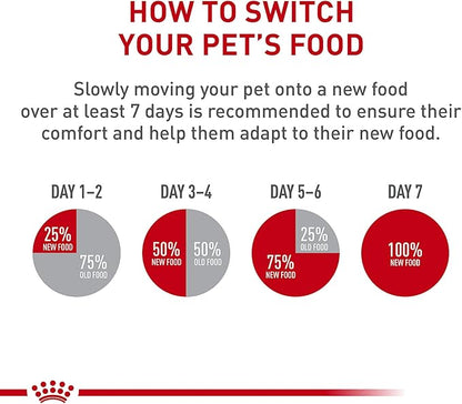 Royal Canin Feline Breed Nutrition Maine Coon Adult Thin Slices in Gravy Canned Cat Food, 3 oz can (24-count)