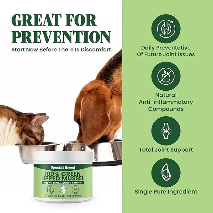 Green Lipped Mussel Powder for Dogs &amp; Cats - 100% New Zealand Green Lipped Mussels - Natural Hip &amp; Joint Supplement for Joints, Tendons, Ligaments, Muscles - 150 Grams - Up to 500 Servings