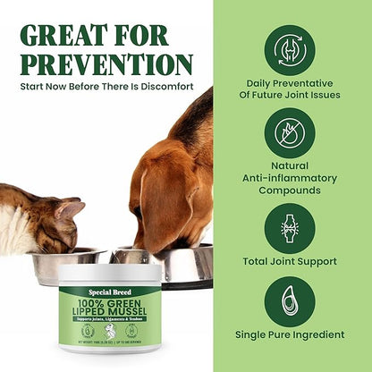 Green Lipped Mussel Powder for Dogs &amp; Cats - 100% New Zealand Green Lipped Mussels - Natural Hip &amp; Joint Supplement for Joints, Tendons, Ligaments, Muscles - 150 Grams - Up to 500 Servings