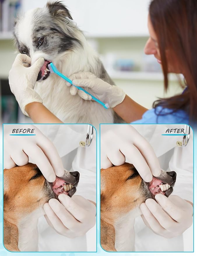 Brand Name 100pcs Double Headed Soft Bristle Toothbrush Brush Kit - Long Handle for Dogs, Cats &amp; Pets - Blue