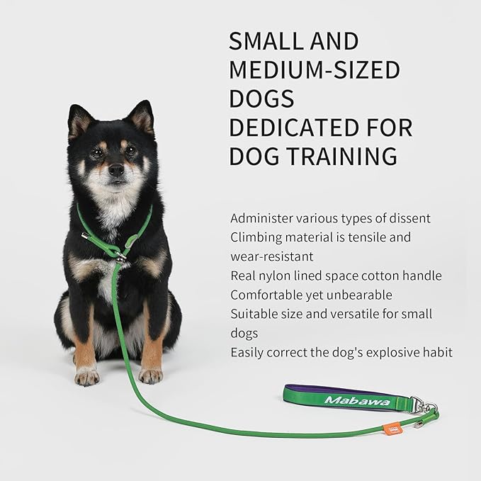 Dog Anti-Slip Leash 5FT with Metal Stopper - Durable No-Pull Training Lead for Small, Medium &amp; Large Dogs - Comfortable Handle Nylon Rope, Tangle-Free Pet Walking Leash (Green, 5 FT)