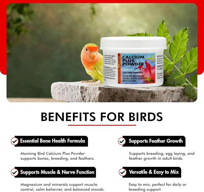 Morning Bird Calcium Plus Powder for Birds 6 oz – Calcium Carbonate Powder with Magnesium Glycinate &amp; Vitamin D – Bone Strength &amp; Immune Support Supplement – Calcium Formula for All Bird Sizes