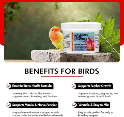 Morning Bird Calcium Plus Powder for Birds 6 oz – Calcium Carbonate Powder with Magnesium Glycinate &amp; Vitamin D – Bone Strength &amp; Immune Support Supplement – Calcium Formula for All Bird Sizes