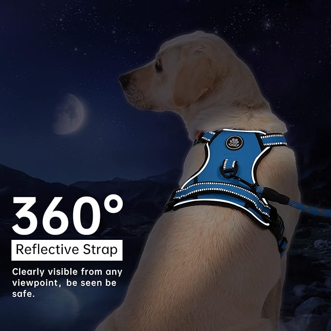 IVY&amp;LANE No Pull Dog Harness for Large Dogs, Dog Vest Harness with Leash, Safety Belt and Storage Strap, Fully Adjustable Harness, 360° Reflective Strip, Soft Handle (Blue,XL)