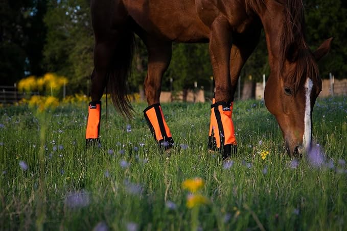 Warrior Fly Boots for Horses - Breathable Mesh Horse Boots for Fly Protection &amp; Leg Comfort - Set of 4 (Knight Warrior, Neon Orange)