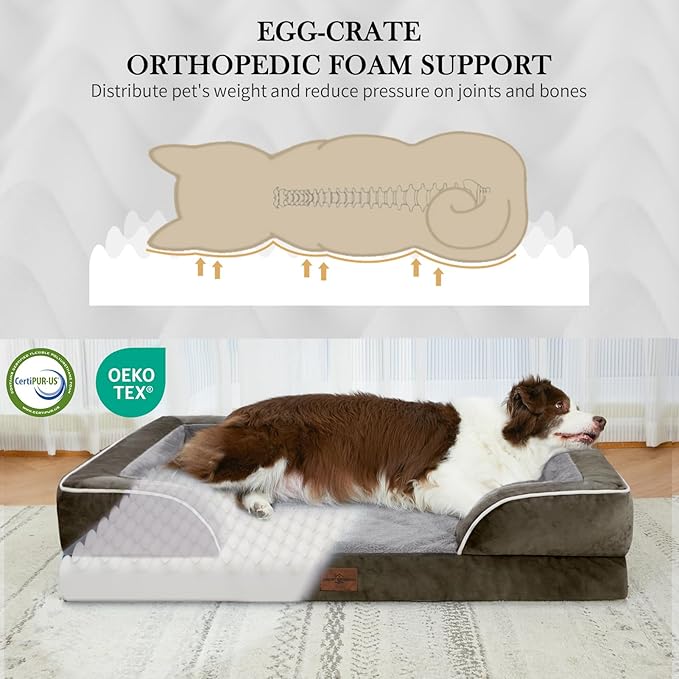 Comfort Expression Small Dog Beds Waterproof Cat Beds Orthopedic Foam Sofa Beds for Small Dogs Comfy Pet Bed with Washable Removable Cover &amp; Non-Slip Bottom(XX-Small,Dark Green)